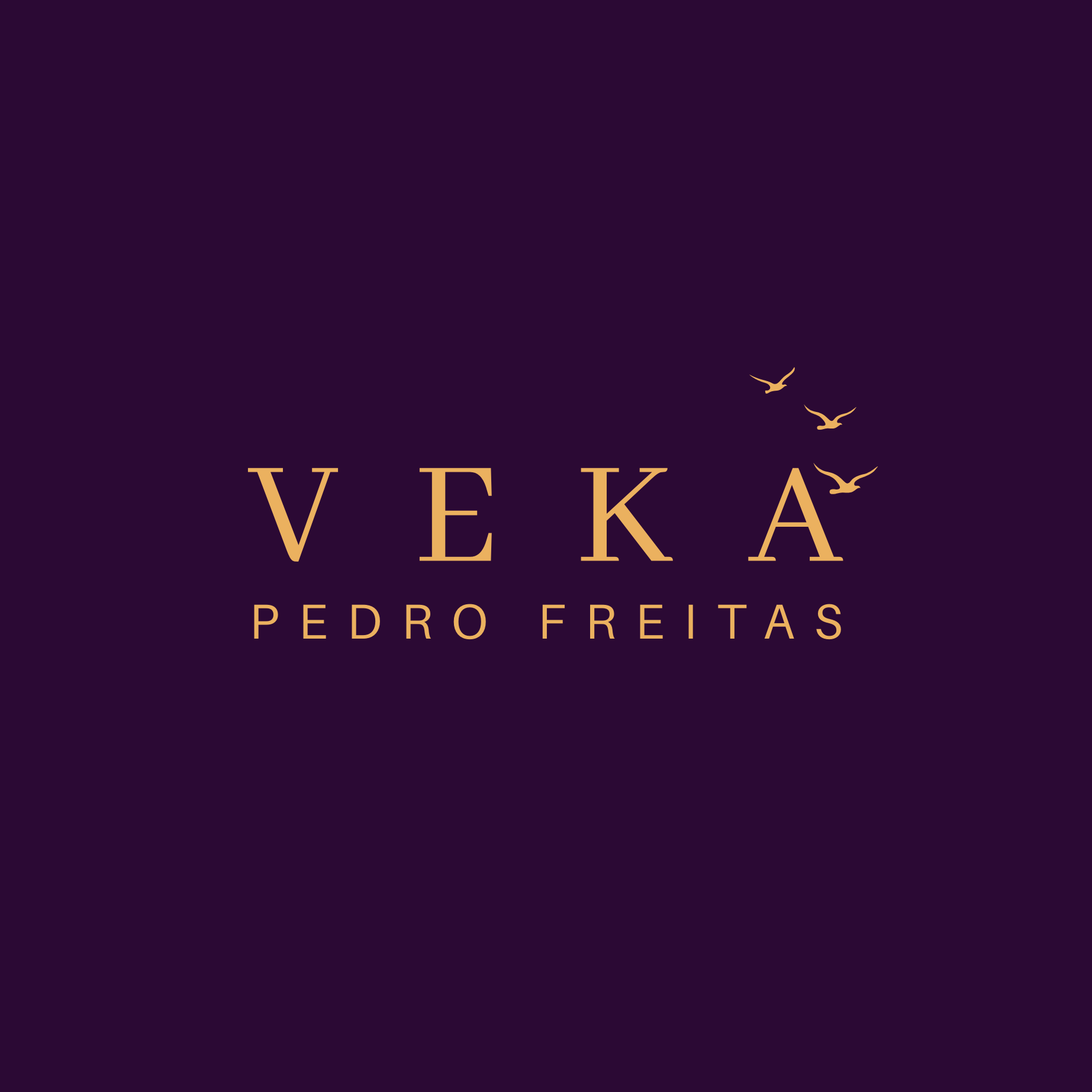 Instituto VEKA — Pedro Freitas